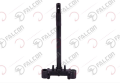 PLATİN (ÖN MAŞA)-blueberry 50