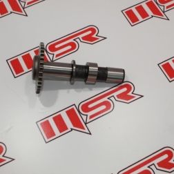 CBR 250 EKSANTRİK MİLİ İÇ