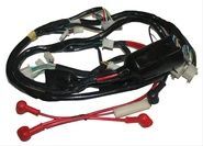 ELEKTRİK TESİSATI SK REVİVAL (E4) MONDİAL