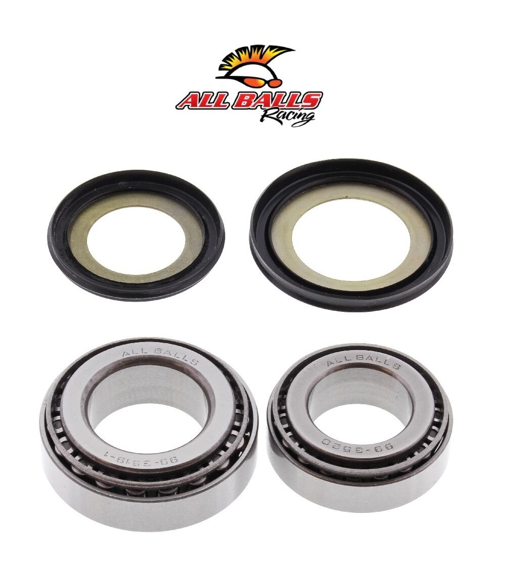 Honda VTC 750 Shadow ABR GİDON RULMAN TAKIMI