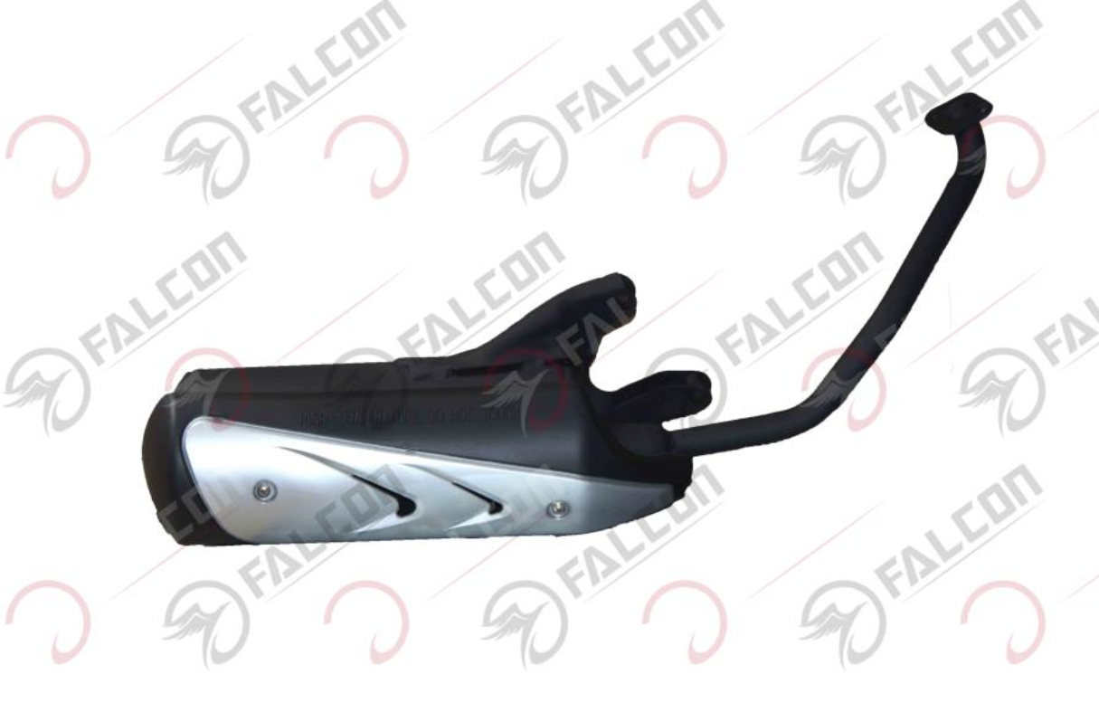 EGZOZ-DOLPHIN 2020 Falcon