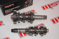 REGAL RAPTOR ŞANZUMAN 18CM