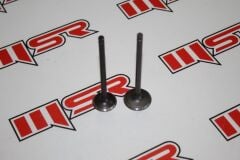 JAGUAR 500 SÜBAP TK(27/31-101-6 MM)