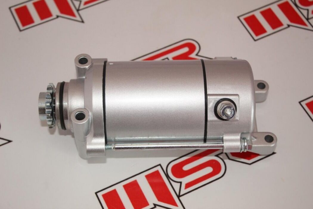 REGAL RAPTOR DD250E-9 / DD250E-9B / MR DESTRO 250 MARŞ MOTORU