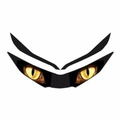 HONDA PCX 2018 - 2020 UYUMLU Far Sticker 001